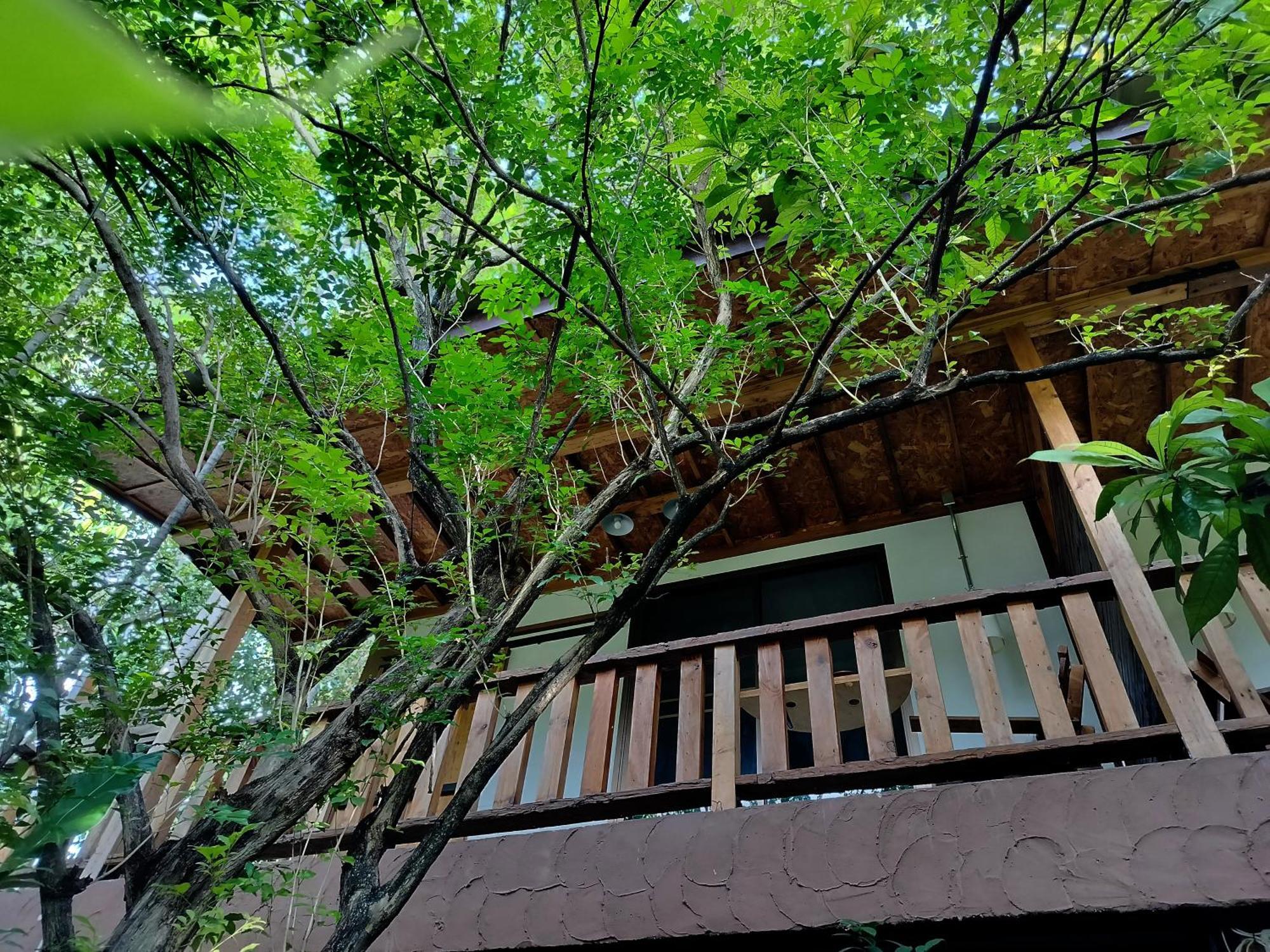 Oldy De Garden Aparthotel Chiang Mai Exteriör bild