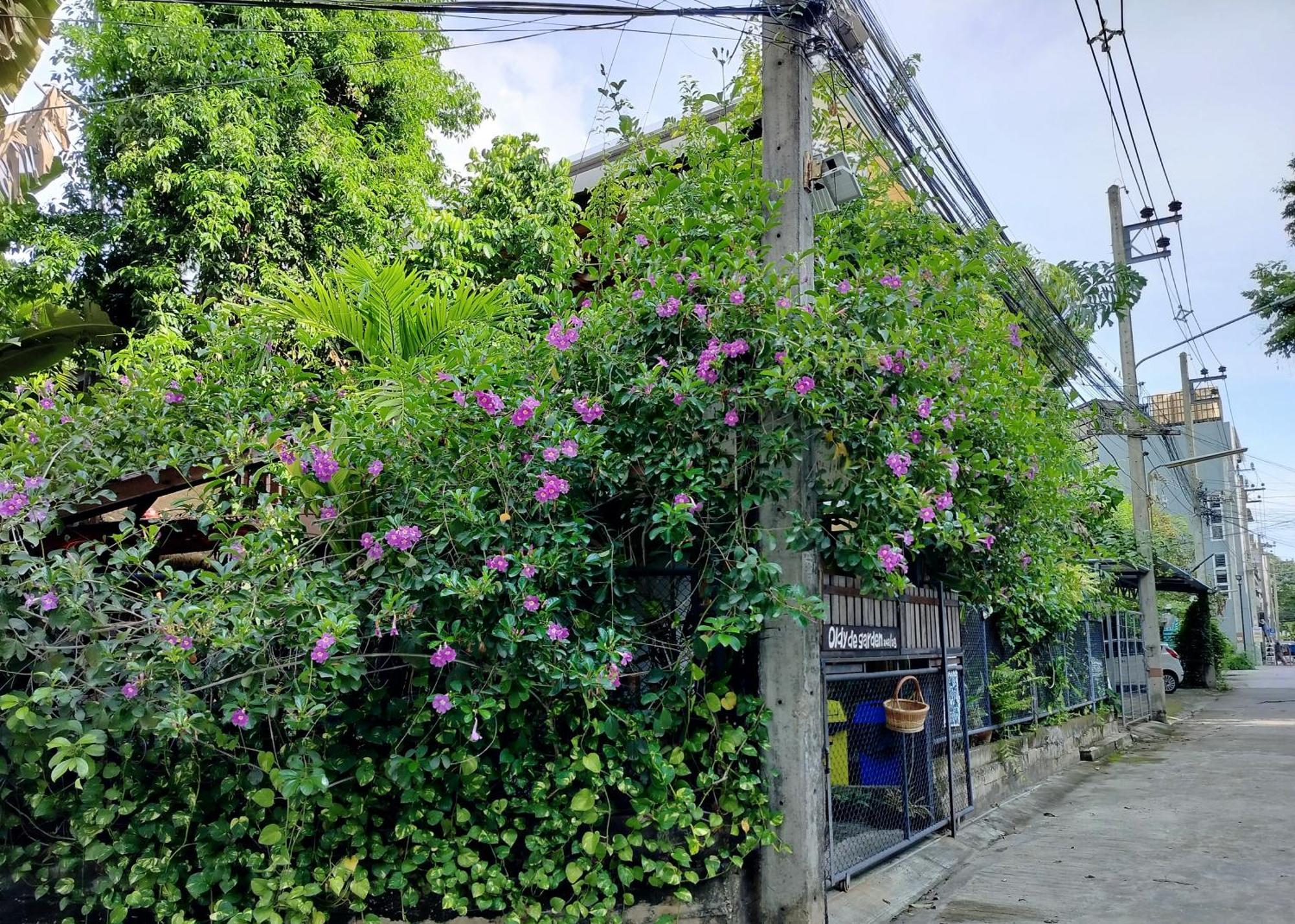 Oldy De Garden Aparthotel Chiang Mai Exteriör bild