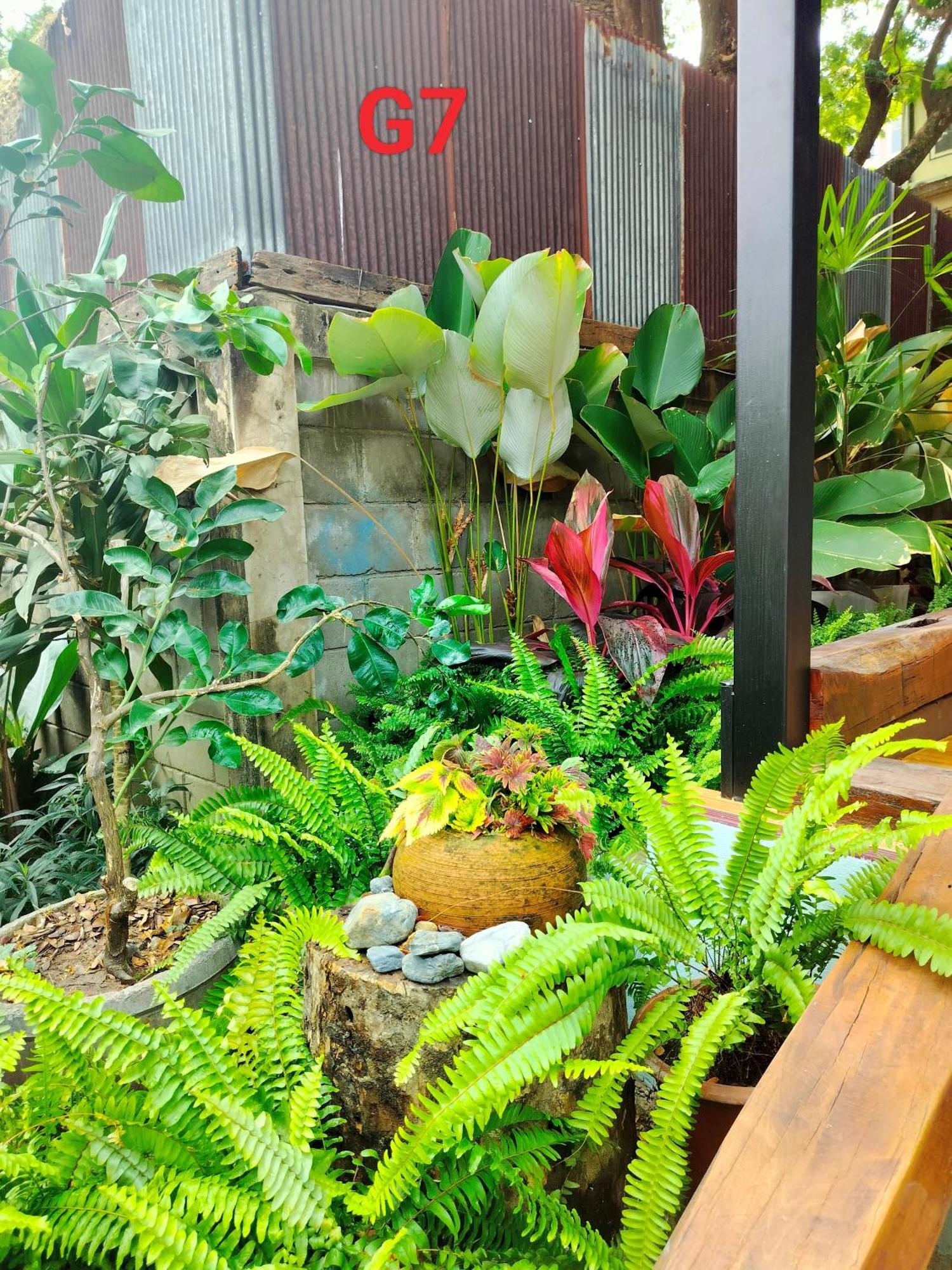 Oldy De Garden Aparthotel Chiang Mai Exteriör bild